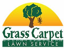 Grass Carpet | Just another WordPress site